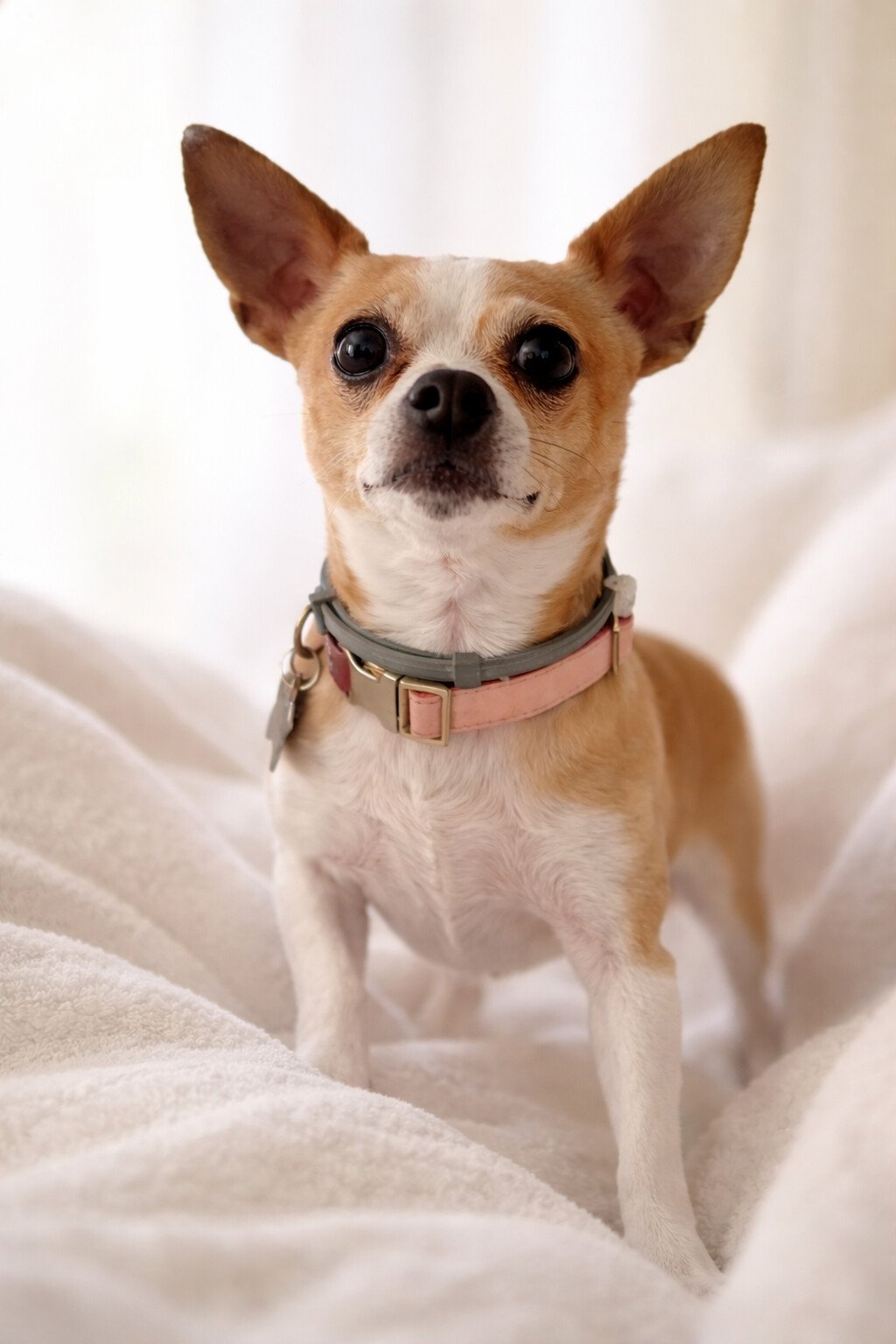 838A67A7-D833-4839-BDCF-1F87A90B9C60