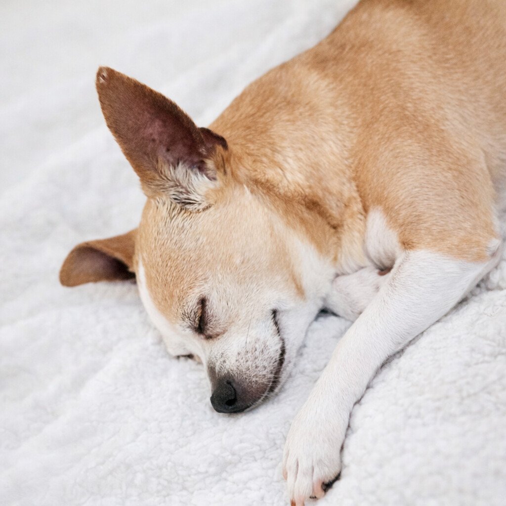 926E1806-4A69-4937-ACB0-FFA5FACF0E08